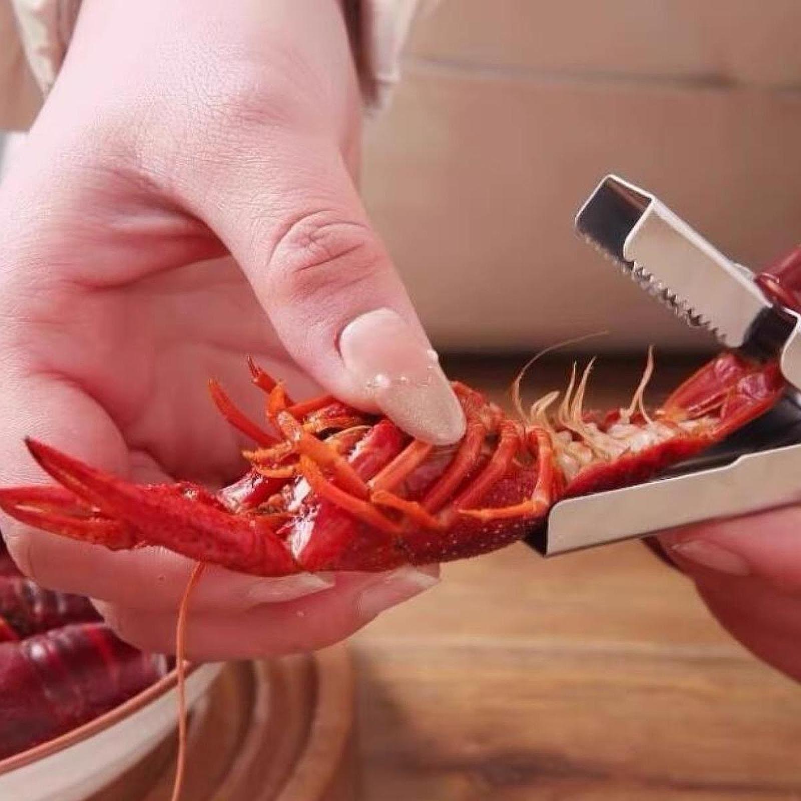Durable Stainless Steel Crawfi - đánh giá và giá Meal Prep Quick