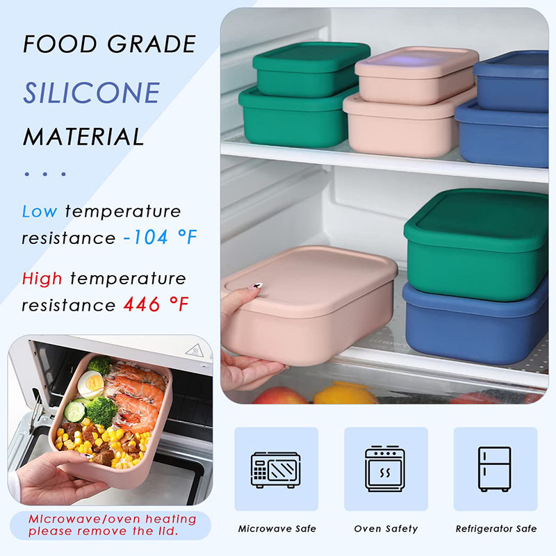 Leak-Resistant Bento Lunch Box - đánh giá và giá Meal Prep Recipes
